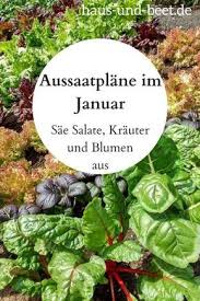 Aussaatplane Im Januar Das Neue Gartenjahr Beginnt Haus Und Beet Gemusegarten Planer Pflanzen Garten Pflanzen