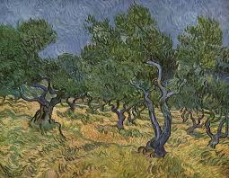 Van Gogh And The Olive Tree Van Gogh Art Vincent Van Gogh Art Van Gogh Paintings