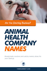 375 Catchy Animal Health Company Name Ideas Ever In 2020 Pet Health Catchy Names Health