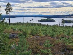 Here is a large catalog of residences in värmland (sweden). Hagfors Pictures Traveler Photos Of Hagfors Varmland County Tripadvisor