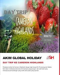 Located at almost 2,000 meters at its highest point, camerons offers visitors a moderate climate with daytime temperatures averaging around 25°c and 18°c at night. Alhamdullilah 70pax Telah Memenuhi Akim Global Holiday Facebook