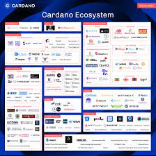 He gets insulted, throws a tantrum, and gets revenge. Cardano Ecosystem March 2021 Cardano