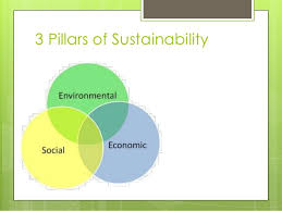 Attending the merit badge class in order to not receive an incomplete: Sustainability Merit Badge