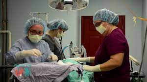 Our affordable cat and dog vaccination clinics offer quality, preventive care to help ensure your pet's health & wellness. About Plaza Pet Clinic Vet In Winchester Va