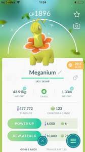 Pokemon shiny mankey is a fictional character of humans. 10 Ideas De Pokemon Go Shiny Thing 1 Aventura Pantera Negra