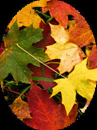 Robert Thomas Yelverton 1970 2018 Death Notice Obituaries Necrology
