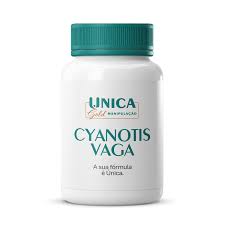Image result for Cyanotis vaga