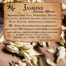 Pin On Book Of Shadows