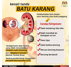 Check spelling or type a new query. Kenalpasti Simptom Batu Karang Bagi Mengelak Kegagalan Buah Pinggang Curahan Anggur