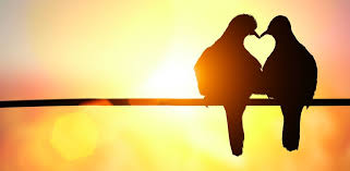 Definition of beziehung in the definitions.net dictionary. Ein Ganz Normaler Tag In Einer Beziehung Dargestellt In 23 Sussen Bildern