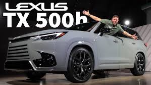 Image result for Incognito 2024 TX