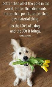 Sick pets also need some kind of love and care. Top 20 International Dog Day Quotes Dog Wallpapers Dog Quotes In 2020 Dog Quotes Dogs Animal Quotes
