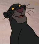 When baloo finally comes around, mowgli runs off into the jungle where he survives a second encounter with kaa the snake and finally, with. Bagheera Voice The Jungle Book 1967 Movie Behind The Voice Actors