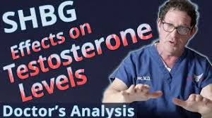 Shbg is considered to be a type of testosterone. Shbg Sex Hormone Binding Globulin Effects On Testosterone Levels Doctor S Analysis Youtube