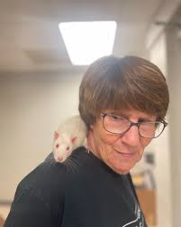 We lost a real one this week at Happy Tails 💔 Already an old man by rat  standards, Thrifty was found as a stray before becoming one of our shop  ambassadors. He