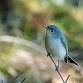 Survey: Occoquan Bay NWR Natural Resources — event image
