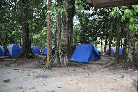 Hutan hujan tropis terletak di daerah seperti asia tenggara, sungai kongo di afrika tengah, dan amazon di amerika selatan. Hutan Lipur Negeri Selangor Forestry Department Peninsular Malaysia