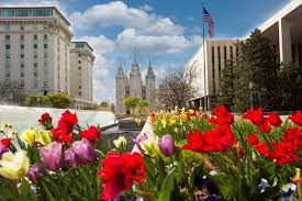 Select how many bedrooms you want. The 9 Absolutely Best Things To Do In Salt Lake City