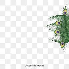 Wispy Peacock Feathers Peacock Feather Clipart Peacock Peacock Feather Png Transparent Clipart Image And Psd File For Free Download Feather Background Peacock Feather Pop Art