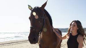 American showjumper jessica springsteen is the daughter of rock star bruce springsteen and peter charles' london 2012 horse murka's vindicat w (vinnie) was sold to jessica in september. Equestrian Jessica Springsteen Just Proved She Was Born To Ride Robb Report