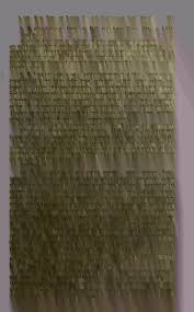 Image result for Monotes dasyanthus