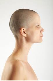 pin by 왕덕경 on heads bald heads bald head women drawing the human head