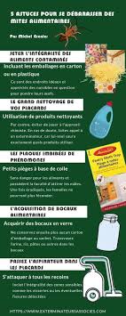 Se Debarrasser Des Mites Alimentaires 5 Astuces Pour Vous Guider