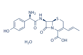 Image result for Cefprozil
