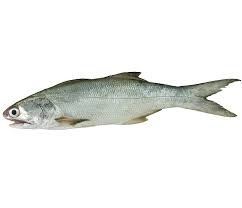 4:28 台灣索尼音樂 sony music taiwan 22 614 просмотров. é­šé¡žçµ±ç‡Ÿè™•