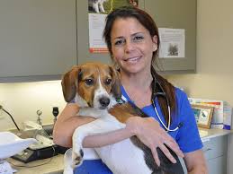 9308 perkins rd baton rouge la 70810. Baton Rouge Vets At Vca All Pets Animal Hospital
