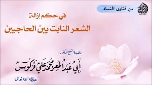 في حكم إزالة الشعر النابت بين الحاجبين للشيخ محمد علي فركوس Youtube