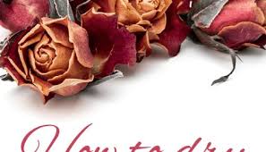 Dry & dry company is a top us silica gel supplier, backed by 30 years of experience in the silica gel desiccant industry. How To Dry Flowers With Silica Gel Beads Resin Obsession Dried Flowers Flower Petals Flowers