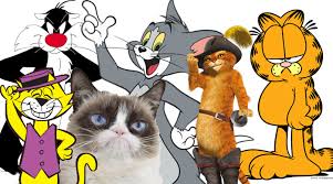 Anual, la 8 august, este celebrată ziua internațională a pisicii. La MulÈ›i Miau Este Ziua InternaÅ£ionalÄƒ A Pisicilor Foto Video Special Arad Ultimele È™tiri Din Arad