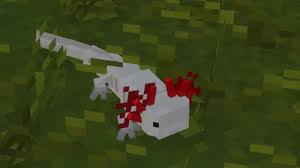 Download and install mumu player on your pc · 2. Before You Ask Natural Fauna Mincedraft Wait A Minute Didn T I See That One