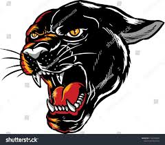 Illustration Black Panther Angry Face Expression Stock Image Download Now Panther Tattoo Black Panther Tattoo Panther Art