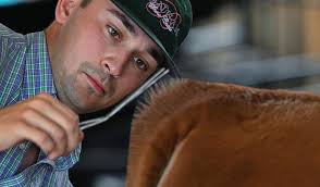 BAR-H LAND &amp; CATTLE ANNUAL ANGUS BULL &amp; FEMALE SALE by Today's  Publishing Inc.