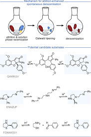 Identifying a Hidden Conglomerate Chiral Pool in the CSD