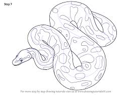 Python snake ball python reticulated python burmese python cool snakes horse mane cute snake snake art beautiful snakes. How To Draw A Python Easy Howto Techno