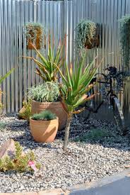 A Small Waterwise Garden Corrugated Iron As A Backdrop An Old Rusty Bycicle Some Pots Aloes Crushed Stones Waterwise Garden Outdoor Gardens Dream Garden