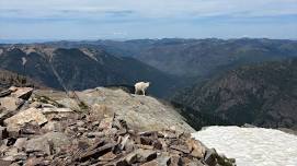 2026 Scotchman Peak