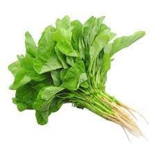 We did not find results for: Jual Sayur Bayam Per Ikat Kota Tangerang Selatan Kerenbeken Store Tokopedia