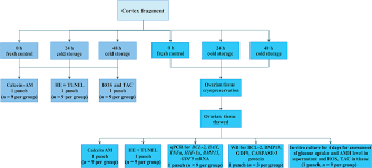 Check spelling or type a new query. Long Time Low Temperature Transportation Of Human Ovarian Tissue Before Cryopreservation Reproductive Biomedicine Online