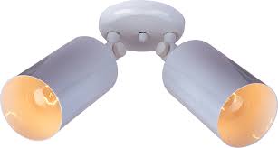 Hundreds of models in stock. Spots Double Outdoor Wall Ceiling Adjustable Spot Light By Maxim Lighting 92011wt