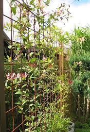 Pin Von Chad Baker Auf Backyard Gartenspaliere Gartengestaltung Gartengestaltung Ideen