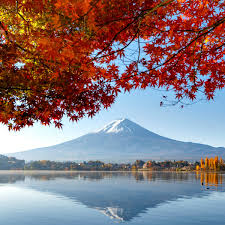 I want to tell my japanese girlfriend that she's beautiful. 10 Of The Best Books Set In Japan That Will Take You There Literary Trips The Guardian