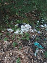 Check spelling or type a new query. Garda De Mediu Gorj In Control La LihuleÈti La 25 De Zile De La Sesizare Gorjonline Zi De Zi InformaÈi