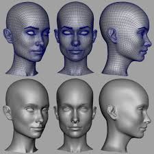 Olivia Wilde 13 By Yanir Tearosh Figurative 3d Cgsociety Face Topology Olivia Wilde Art Journal Techniques