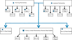 organizational structure of super farm no 2 download