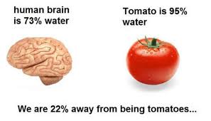 Search, discover and share your favorite science meme gifs. I Thought I Was A Potato I Was Wrong