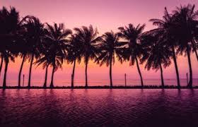 45 Ideas Wall Paper Desktop Laptop Spring Wall In 2020 Laptop Wallpaper Desktop Wallpapers Computer Wallpaper Desktop Wallpapers Free Desktop Wallpaper Backgrounds